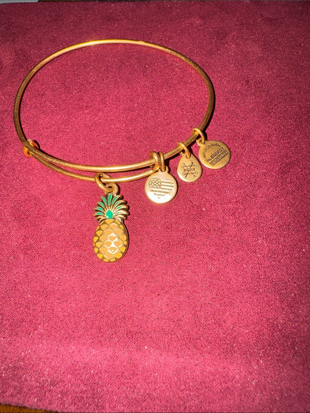 Alex and Ani Gold Pineapple Charm Expandable Bangle with Logo Discs